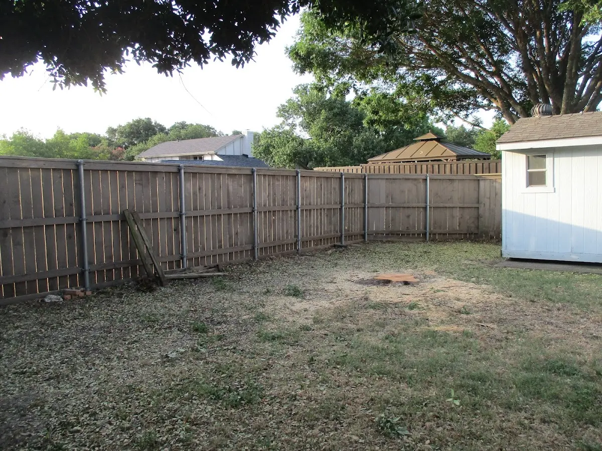 Cleared yard after professional tree removal in Hooper Bay