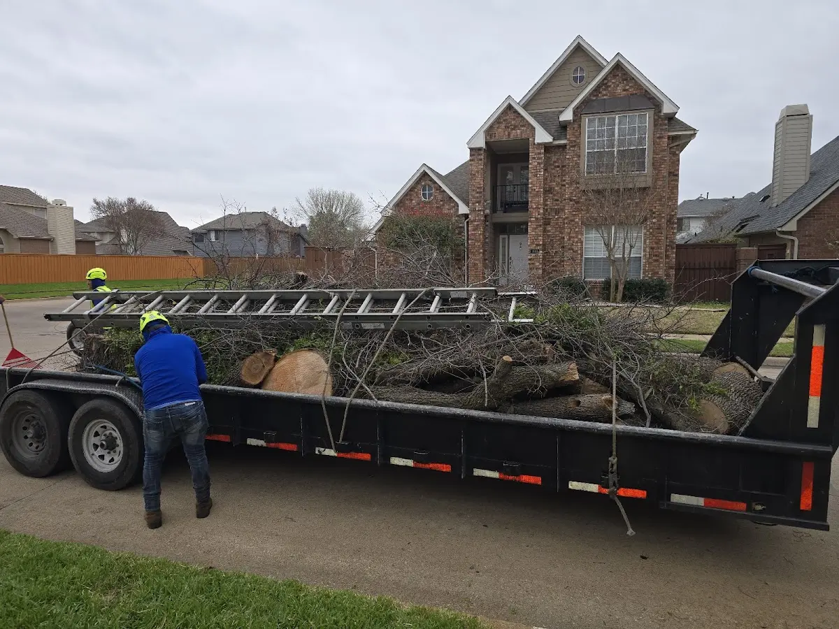 Expert Tree Removal with proper safety equipment in Hooper Bay